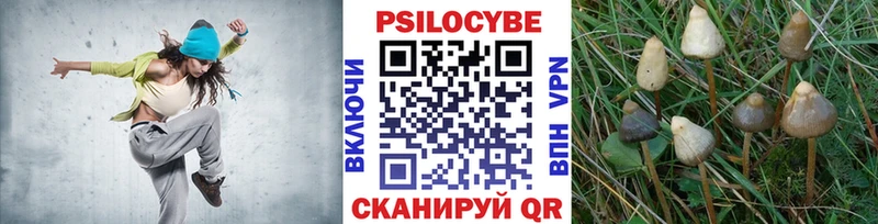 Галлюциногенные грибы мицелий  Купить  Тула 